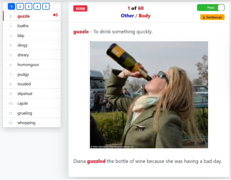 Word playback view with controls